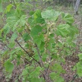 20150515 141529