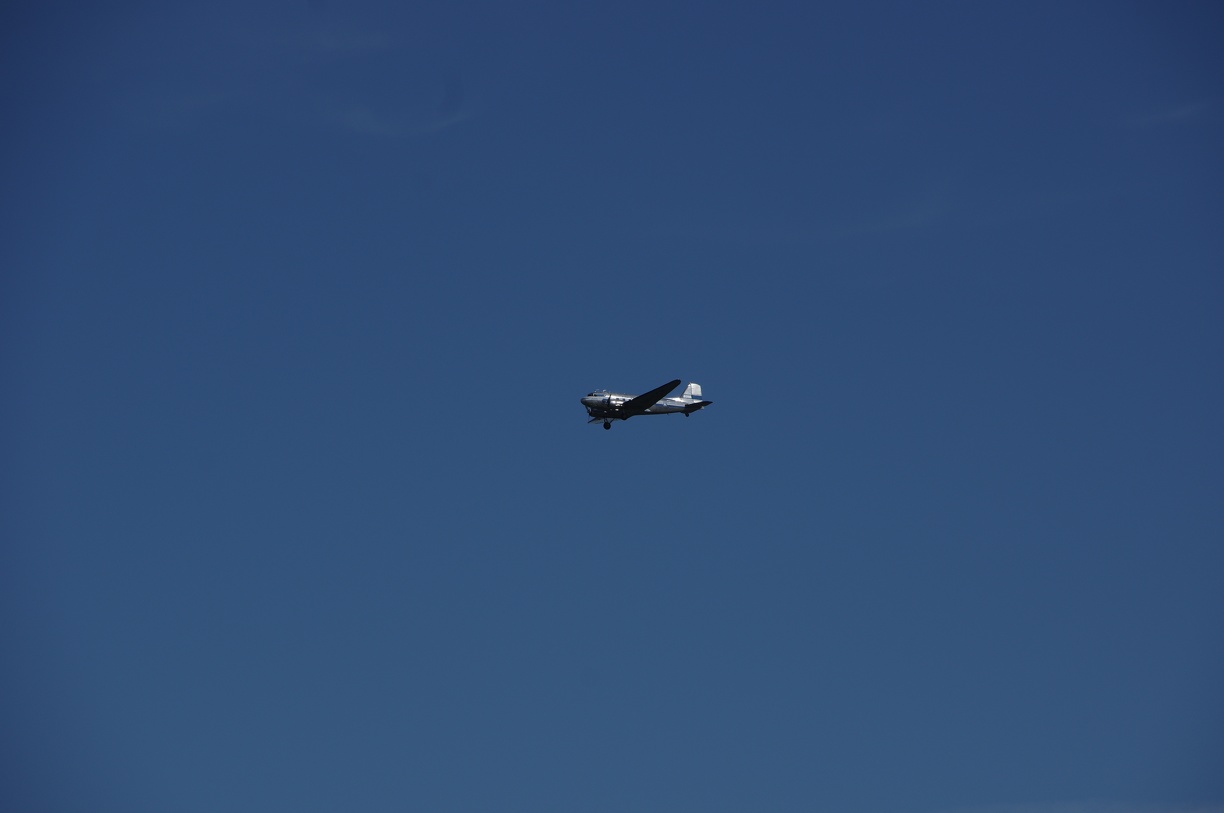 IMGP6637 - IMGP6637.JPG IMGP6637.JPG