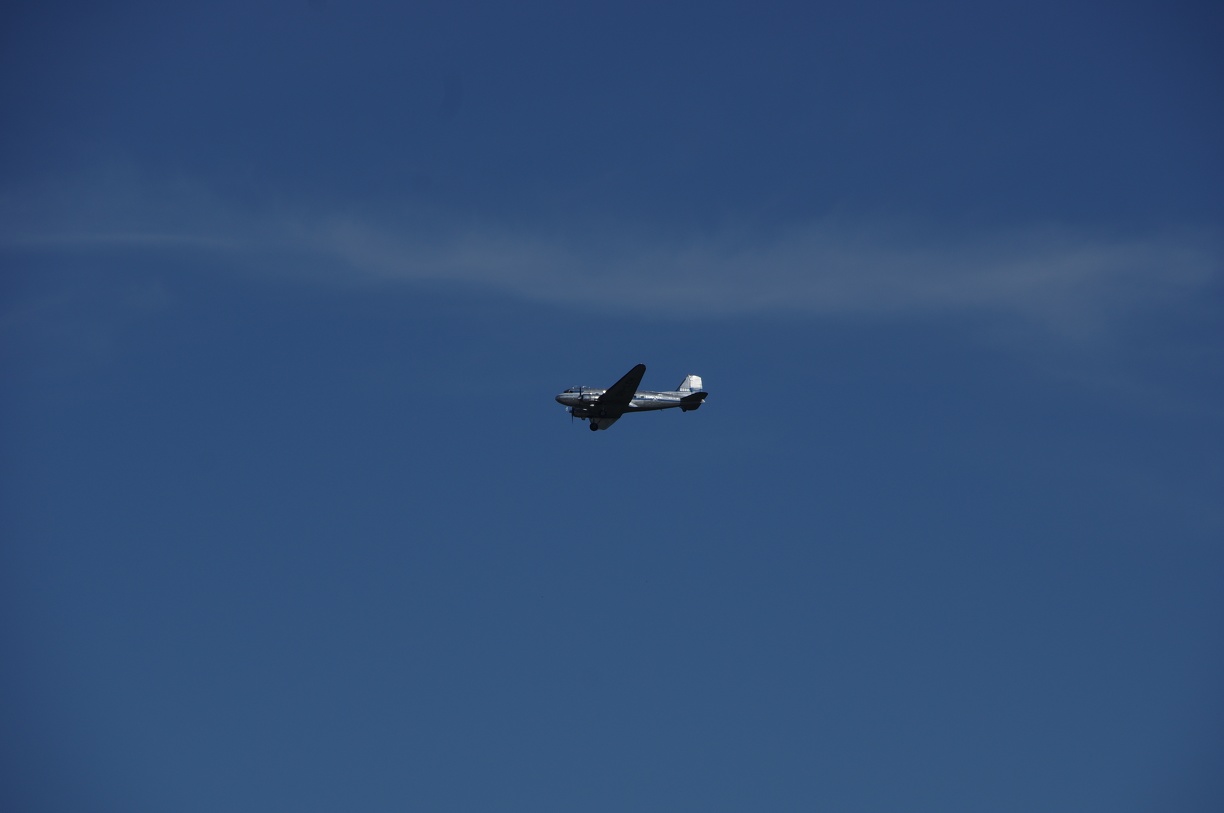 IMGP6638 - IMGP6638.JPG IMGP6638.JPG