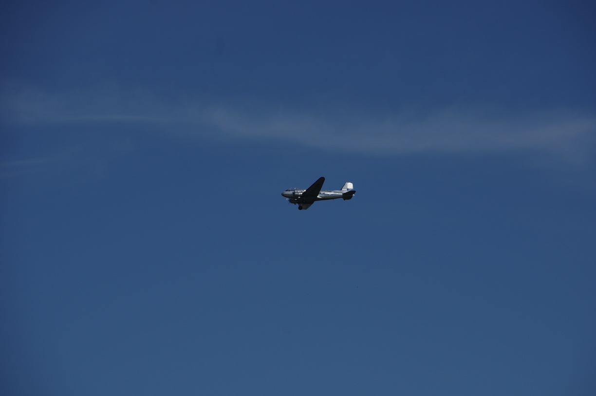 IMGP6639 - IMGP6639.JPG IMGP6639.JPG