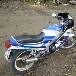 Yamaha TZR-125